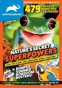 Issue 19 
                issue Issue 19