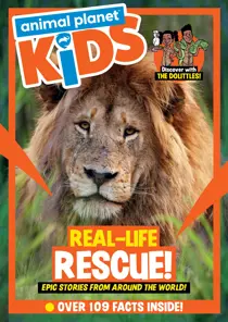 Issue 25 
                issue Issue 25