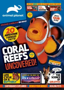 Issue 5 
                issue Issue 5