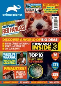 Issue 8 
                issue Issue 8