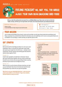  Bird Food  
                issue  Bird Food 