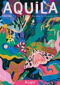 Bugs 
                issue Bugs