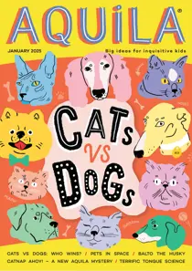 Cats Vs Dogs 
                issue Cats Vs Dogs