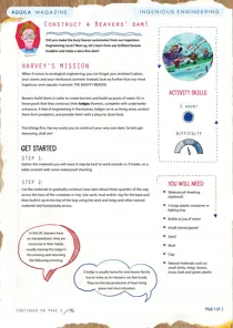 Construct a Beavers Dam 
                issue Construct a Beavers Dam