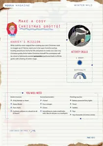  Create a cosy Christmas grotto 
                issue  Create a cosy Christmas grotto