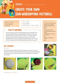  Create your own sun worshipping pectoral 
                issue  Create your own sun worshipping pectoral