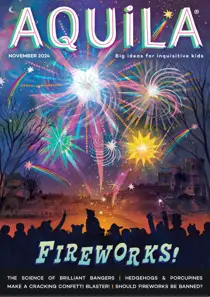 Fireworks 
                issue Fireworks