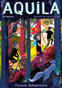 Forest Adventure 
                issue Forest Adventure