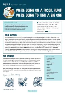 Fossil Hunt 
                issue Fossil Hunt