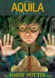 Harry Potter 
                issue Harry Potter