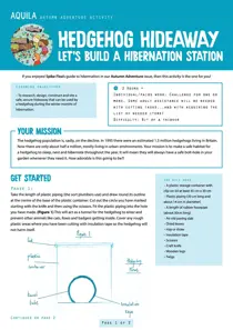 Hedgehog Hideaway final 
                issue Hedgehog Hideaway final