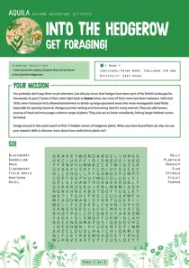  Into the hedgerow final 
                issue  Into the hedgerow final