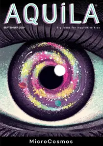 MicroCosmos 
                issue MicroCosmos