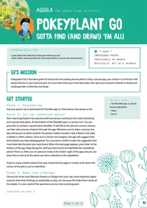  Pokey plant 
                issue  Pokey plant