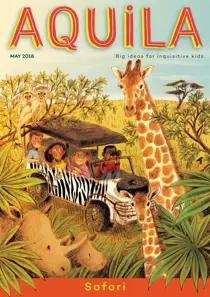 Safari 
                issue Safari