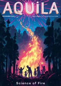 Science of Fire 
                issue Science of Fire