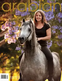 Arabian Studs & Stallions Annual 2014 – Volume 40