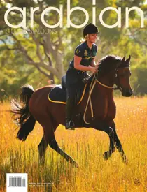 Arabian Studs & Stallions Annual 2017 - Volume 43