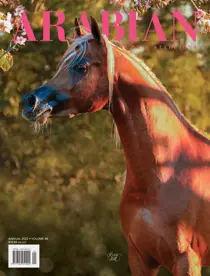 Arabian Studs & Stallions ANNUAL 2022 - VOLUME 48