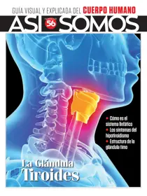 Fasciculo 56 
                issue Fasciculo 56
