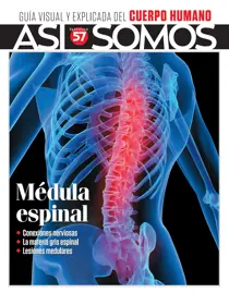 Fasciculo 57 
                issue Fasciculo 57
