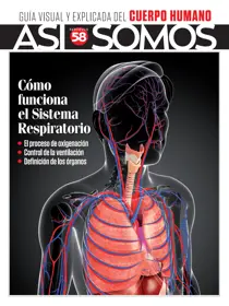 Fasciculo 58 
                issue Fasciculo 58