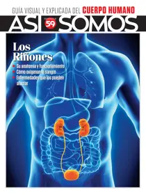 Asi Somos - el Cuerpo Humano  
                issue Fasciculo 59
