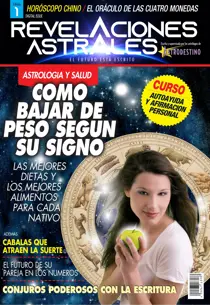 Número especial 2 
                issue Número especial 2