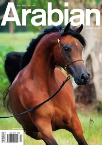 December 2013 – Vol 47 – No 4 
                issue December 2013 – Vol 47 – No 4