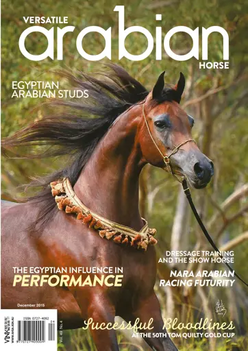 Australian Arabian Horse News Preview