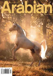 June 2013 – Vol 47 – No.2 
                issue June 2013 – Vol 47 – No.2