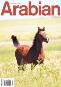 March 2014 - Vol 48 – No.1 
                issue March 2014 - Vol 48 – No.1