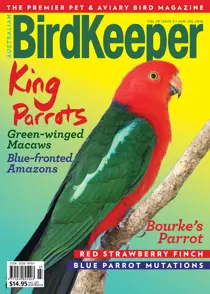 BirdKeeper Vol 29 Issue 3 
                issue BirdKeeper Vol 29 Issue 3