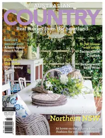 25.2 
                issue 25.2