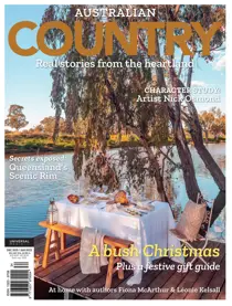 issue 24.6 
                issue issue 24.6