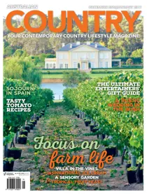 Issue#20.1 Dec/Jan 2016-17 
                issue Issue#20.1 Dec/Jan 2016-17