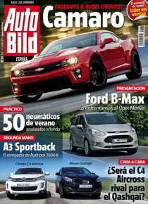 339 
                issue 339