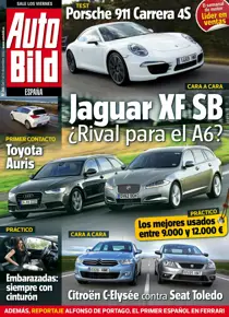 365 
                issue 365