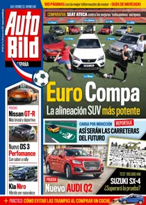 509 
                issue 509