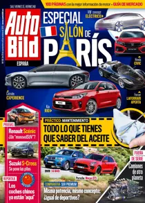 516 
                issue 516