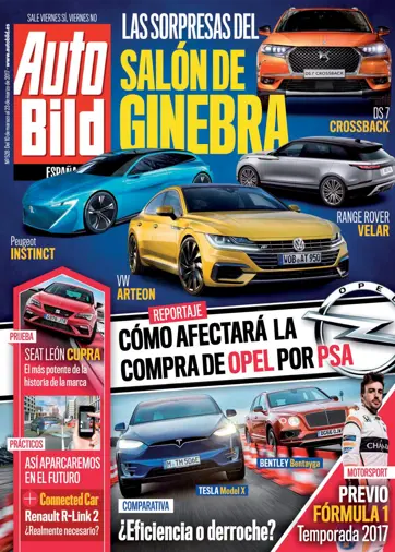 Auto Bild Preview