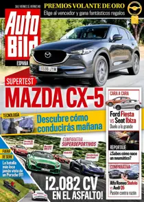 539 
                issue 539