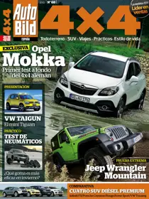 Auto Bild 68
