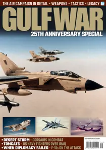 The Gulf War 
                issue The Gulf War