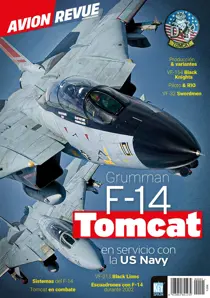Avion Revue Internacional F-14 Tomcat