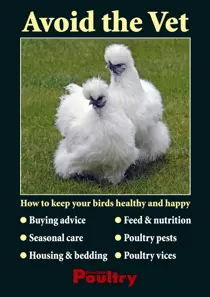 Avoid the Vet 
                issue Avoid the Vet