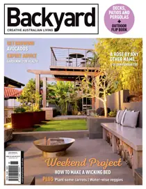 48 
                issue 48