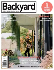 Backyard & Outdoor Living 52