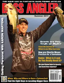 Volume 20 Issue 3 
                issue Volume 20 Issue 3