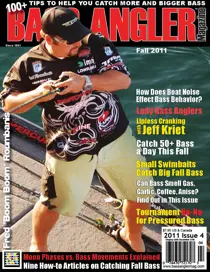 Volume 20 Issue 4 
                issue Volume 20 Issue 4